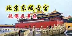 少妇喜粗大鸡巴插骚逼喷水浪视频中国北京-东城古宫旅游风景区